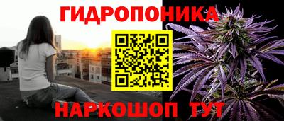 амф Берёзовский